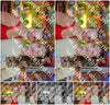 Evenement foto: Serie SHN 2606