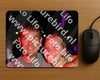 Evenement foto: Serie SHN 2606