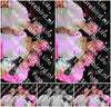 Evenement foto: Serie SHN 2607