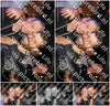 Evenement foto: Serie SHN 2607