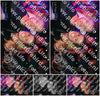 Evenement foto: Serie SHN 2607