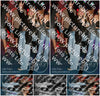 Evenement foto: Serie SHN 2609