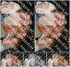 Evenement foto: Serie SHN 2610