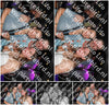 Evenement foto: Serie SHN 2610