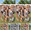 Evenement foto: Zomerfestival Serie 2578