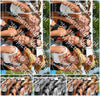 Evenement foto: Zomerfestival Serie 2578
