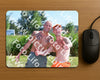 Evenement foto: Zomerfestival Serie 2579