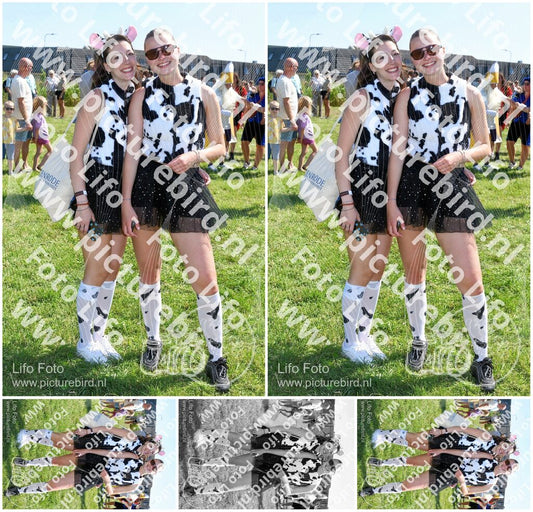 Evenement foto: Zomerfestival Serie 2579