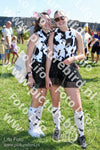 Evenement foto: Zomerfestival Serie 2579