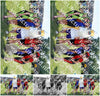 Evenement foto: Zomerfestival Serie 2579