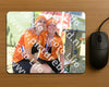 Evenement foto: Zomerfestival Serie 2579
