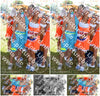 Evenement foto: Zomerfestival Serie 2579