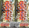 Evenement foto: Zomerfestival Serie 2579