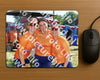 Evenement foto: Zomerfestival Serie 2579