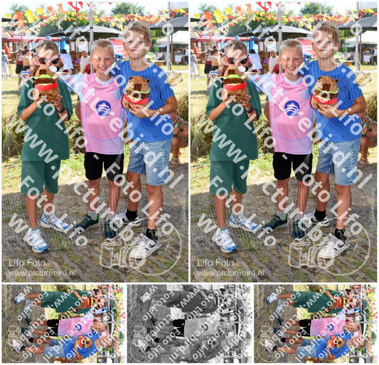 Evenement foto: Zomerfestival Serie 2579