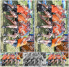 Evenement foto: Zomerfestival Serie 2579