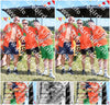 Evenement foto: Zomerfestival Serie 2579