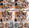 Evenement foto: Zomerfestival Serie 2580