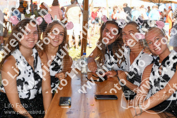 Evenement foto: Zomerfestival Serie 2580