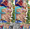 Evenement foto: Zomerfestival Serie 2580