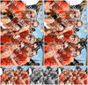 Evenement foto: Zomerfestival Serie 2580