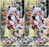 Evenement foto: Zomerfestival Serie 2580