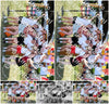 Evenement foto: Zomerfestival Serie 2580