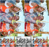 Evenement foto: Zomerfestival Serie 2580