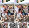 Evenement foto: Zomerfestival Serie 2581