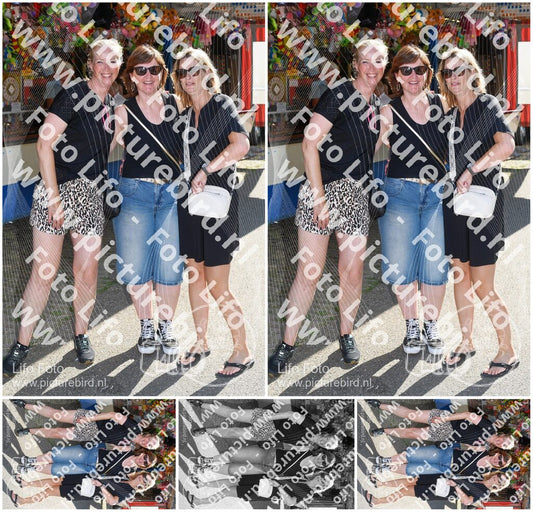 Evenement foto: Zomerfestival Serie 2581