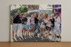 Evenement foto: Zomerfestival Serie 2581