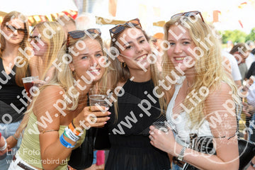 Evenement foto: Zomerfestival Serie 2582