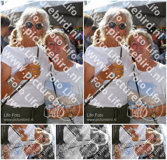 Evenement foto: Zomerfestival Serie 2582