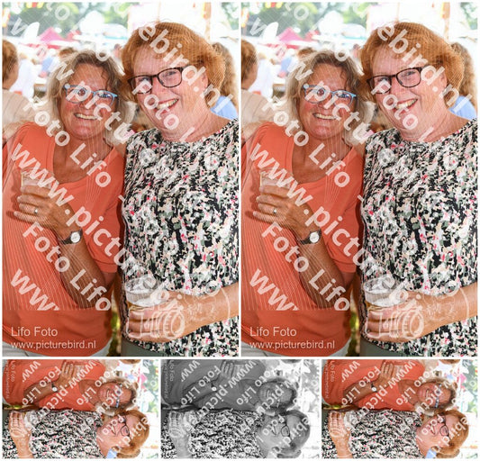 Evenement foto: Zomerfestival Serie 2582