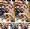 Evenement foto: Zomerfestival Serie 2582