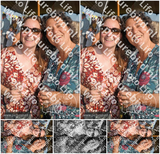 Evenement foto: Zomerfestival Serie 2582