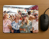 Evenement foto: Zomerfestival Serie 2582