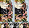 Evenement foto: Zomerfestival Serie 2583