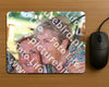 Evenement foto: Zomerfestival Serie 2583