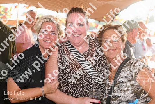 Evenement foto: Zomerfestival Serie 2583