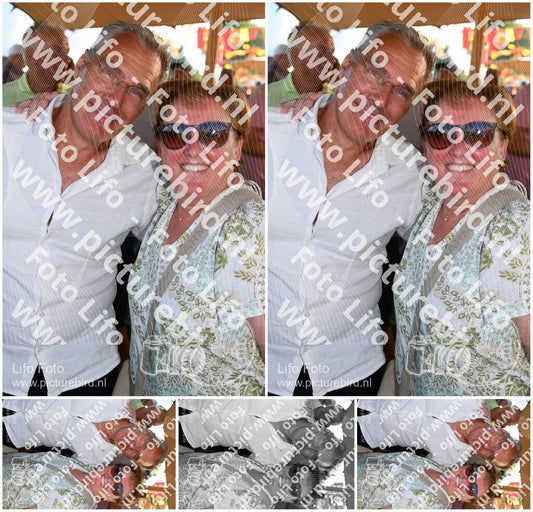 Evenement foto: Zomerfestival Serie 2583