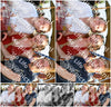 Evenement foto: Zomerfestival Serie 2583
