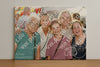 Evenement foto: Zomerfestival Serie 2584