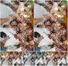 Evenement foto: Zomerfestival Serie 2584