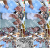 Evenement foto: Zomerfestival Serie 2584