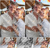 Evenement foto: Zomerfestival Serie 2584