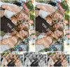Evenement foto: Zomerfestival Serie 2586