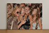 Evenement foto: Zomerfestival Serie 2586