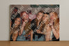 Evenement foto: Zomerfestival Serie 2586