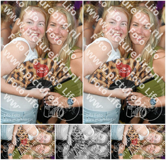 Evenement foto: Zomerfestival Serie 2587